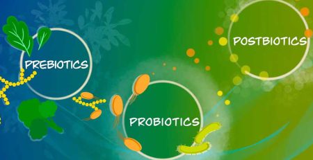 پری بیوتیک و پروبیوتیک