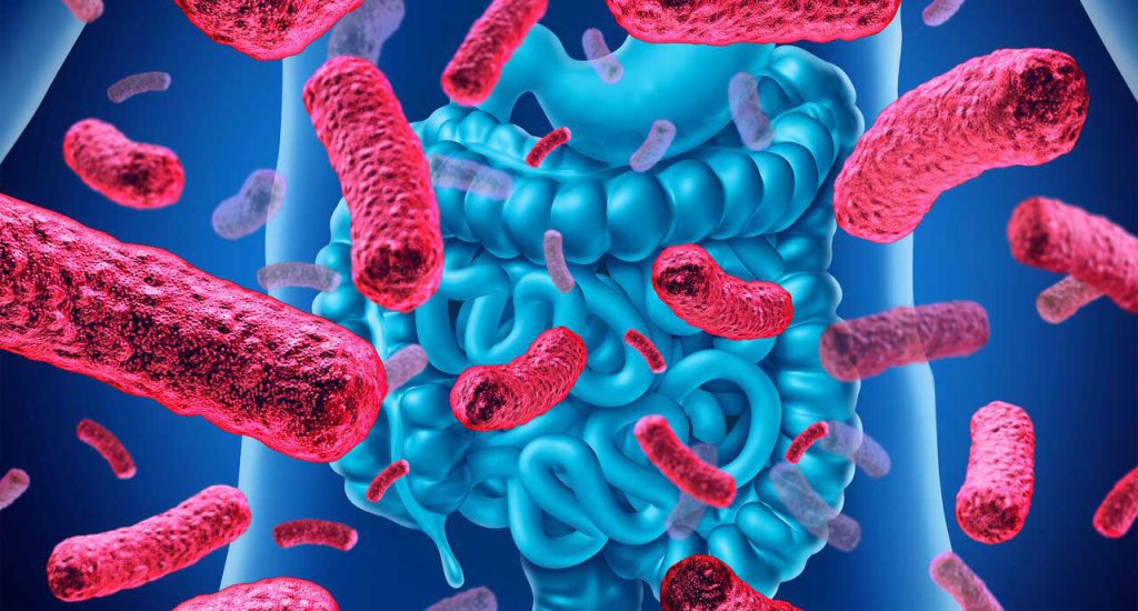 پروبیوتیکها